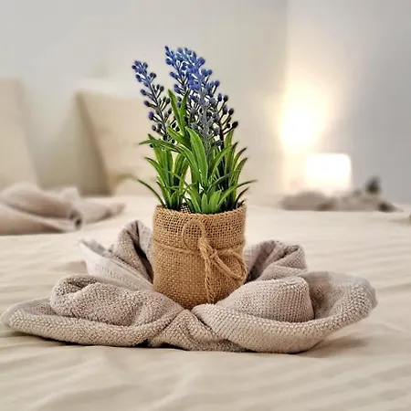 Ocean Sounds 2 * Gran Tarajal